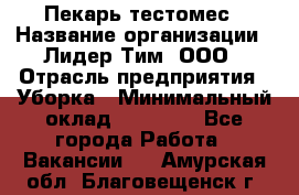 Пекарь-тестомес › Название организации ­ Лидер Тим, ООО › Отрасль предприятия ­ Уборка › Минимальный оклад ­ 30 000 - Все города Работа » Вакансии   . Амурская обл.,Благовещенск г.